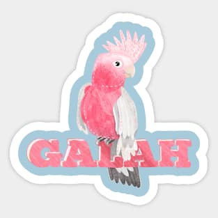 Pink Galah Sticker